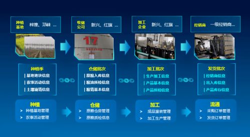 科技賦能，守護“天府糧倉”——川糧集團以全產業鏈云碼溯源引領糧油質量安全新標桿